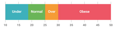 BMI Status Image